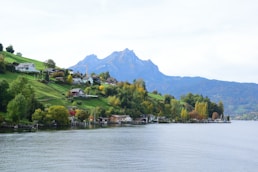 a lake surrounded by a lush green hillside