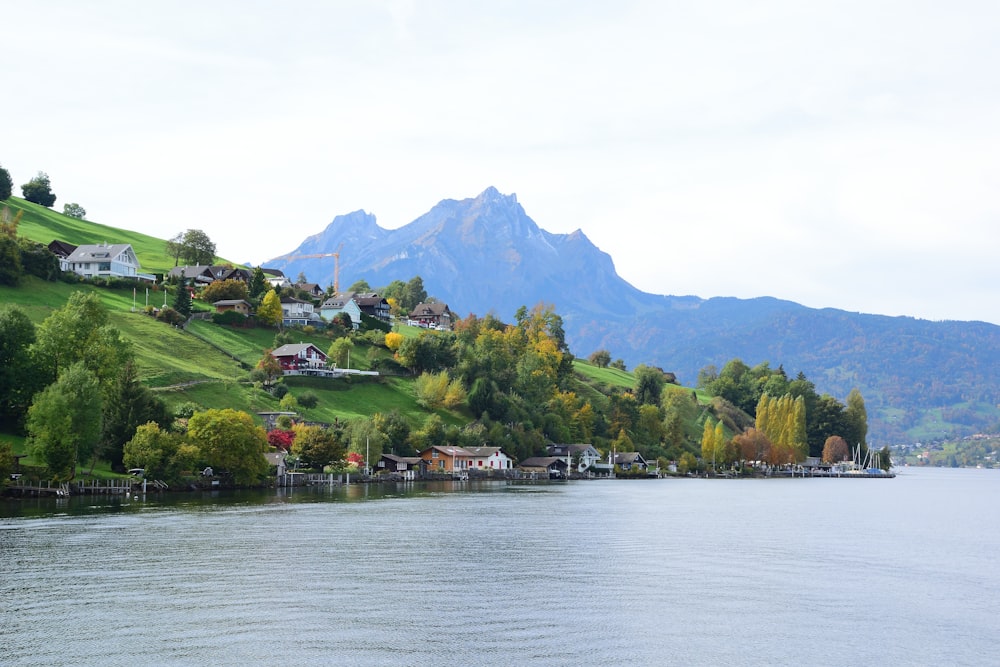 a lake surrounded by a lush green hillside