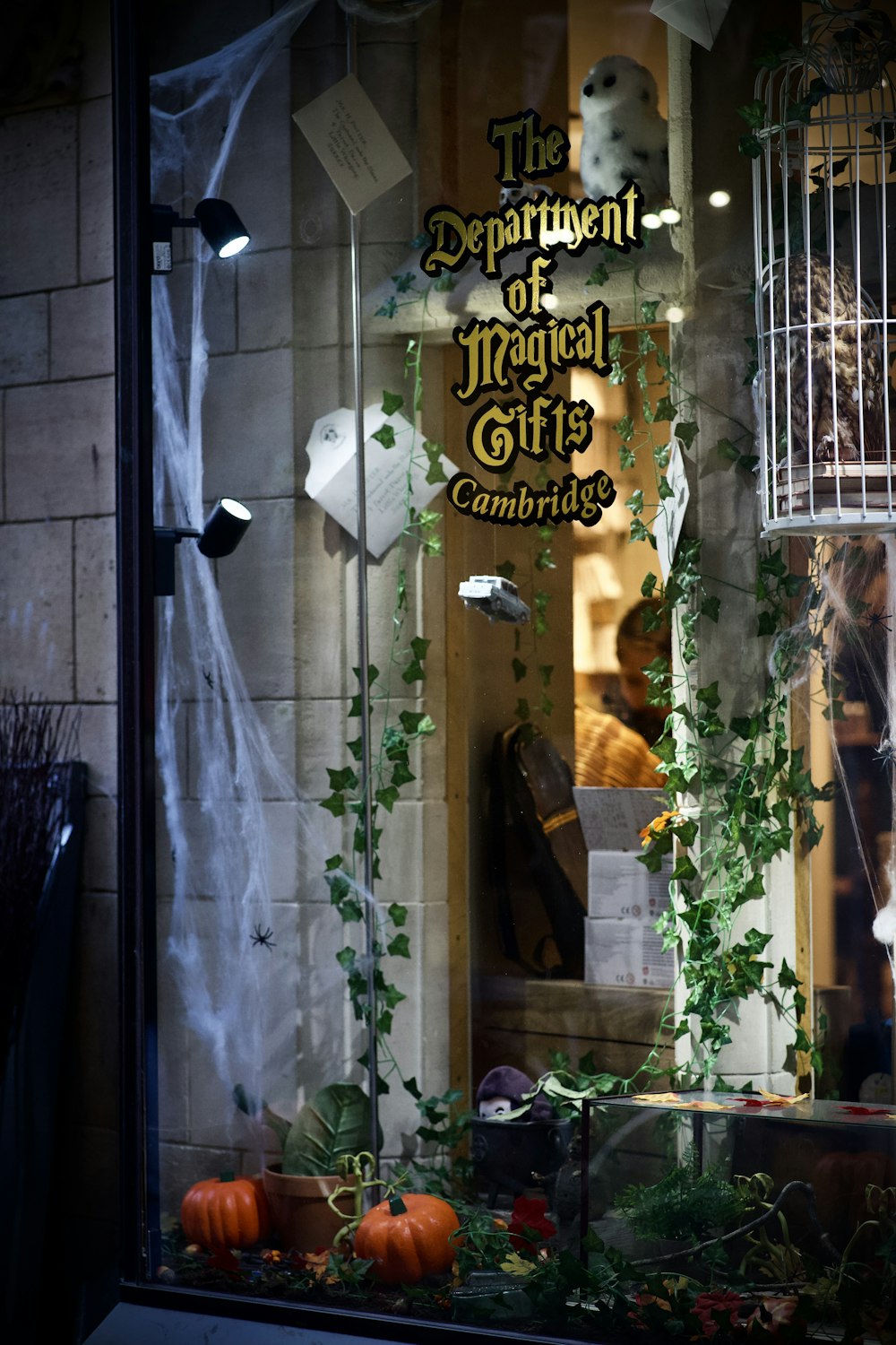 a store front window with a cat in a cage