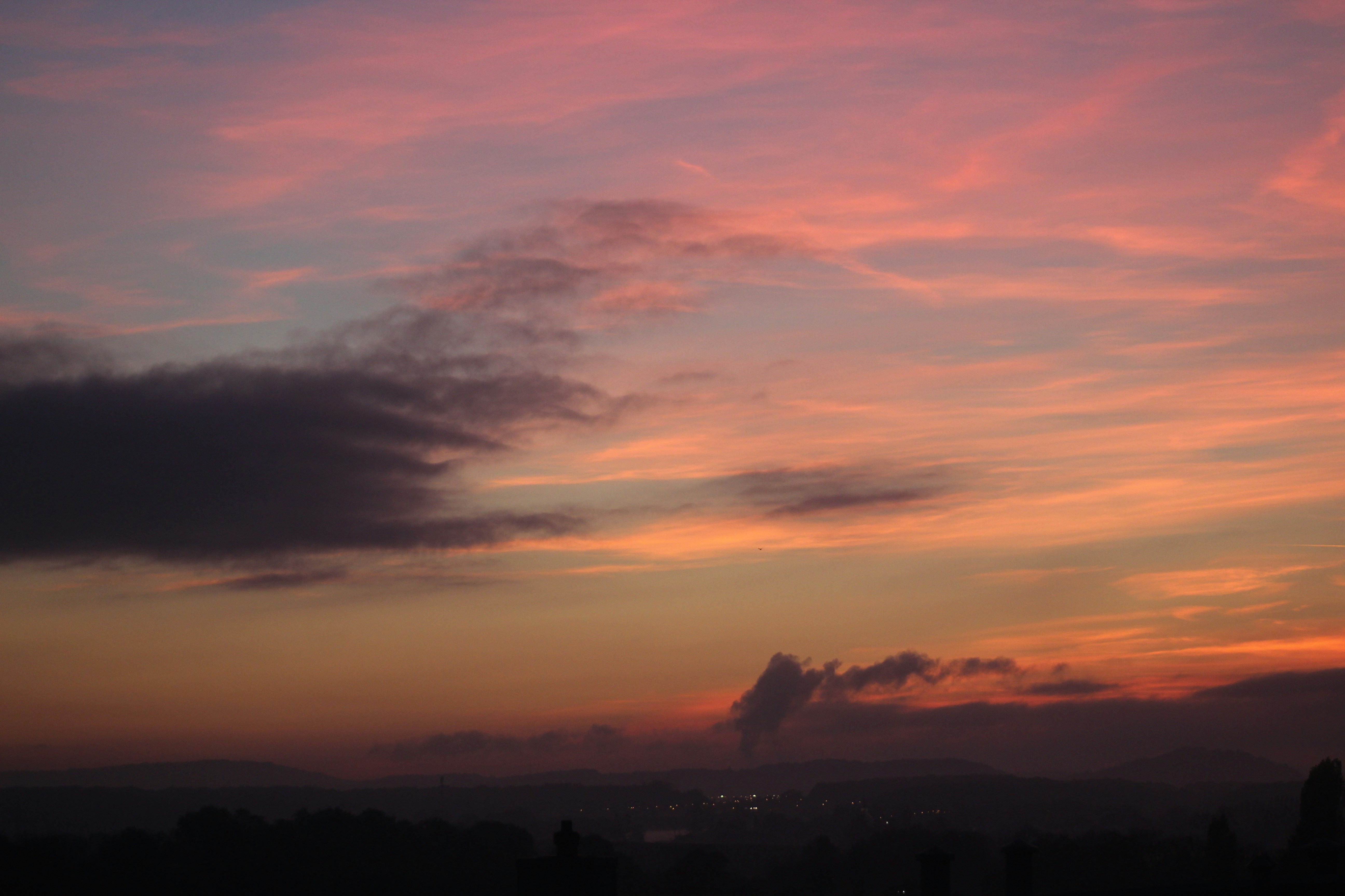 Photo by feliciafelicia