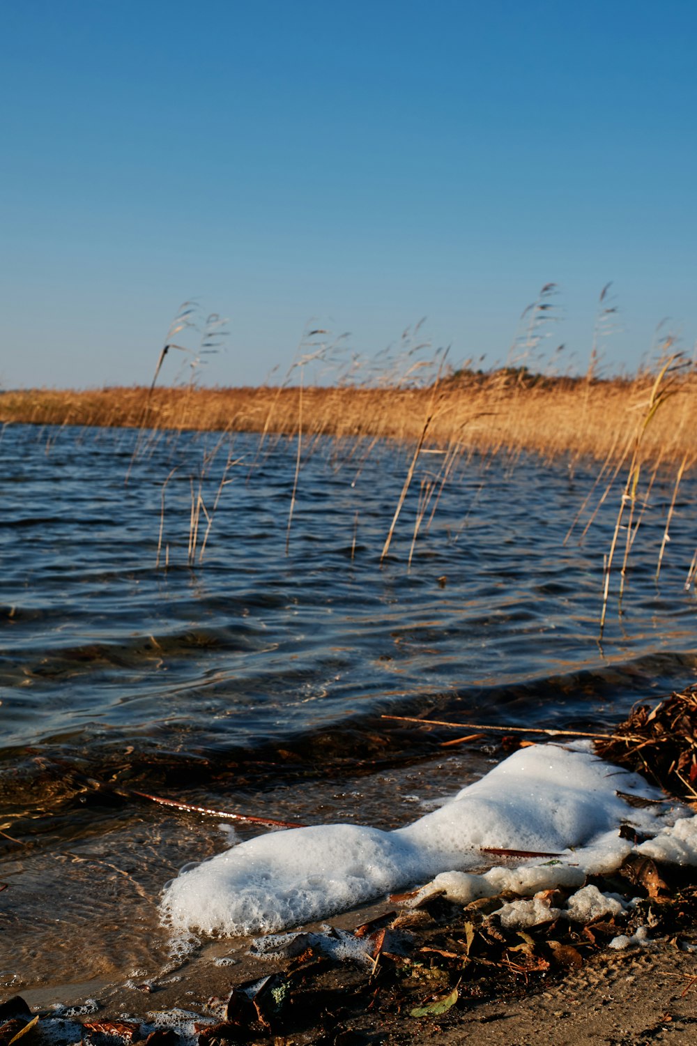 a body of water with a bunch of snow on it