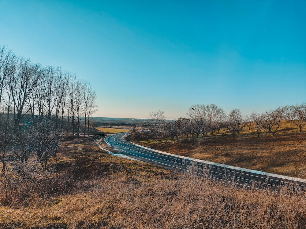 a winding road in the middle of a field