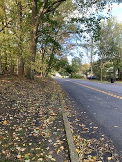 A quiet street lined with autumn trees shedding golden leaves.