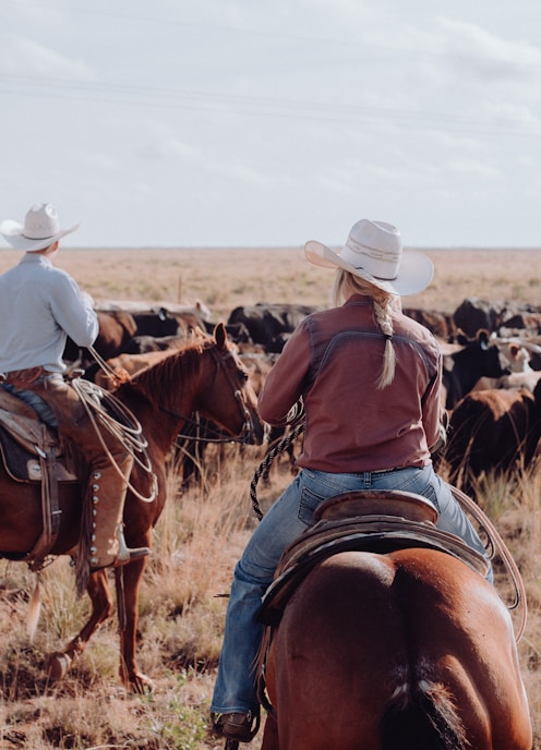 a couple of people riding on the backs of horses