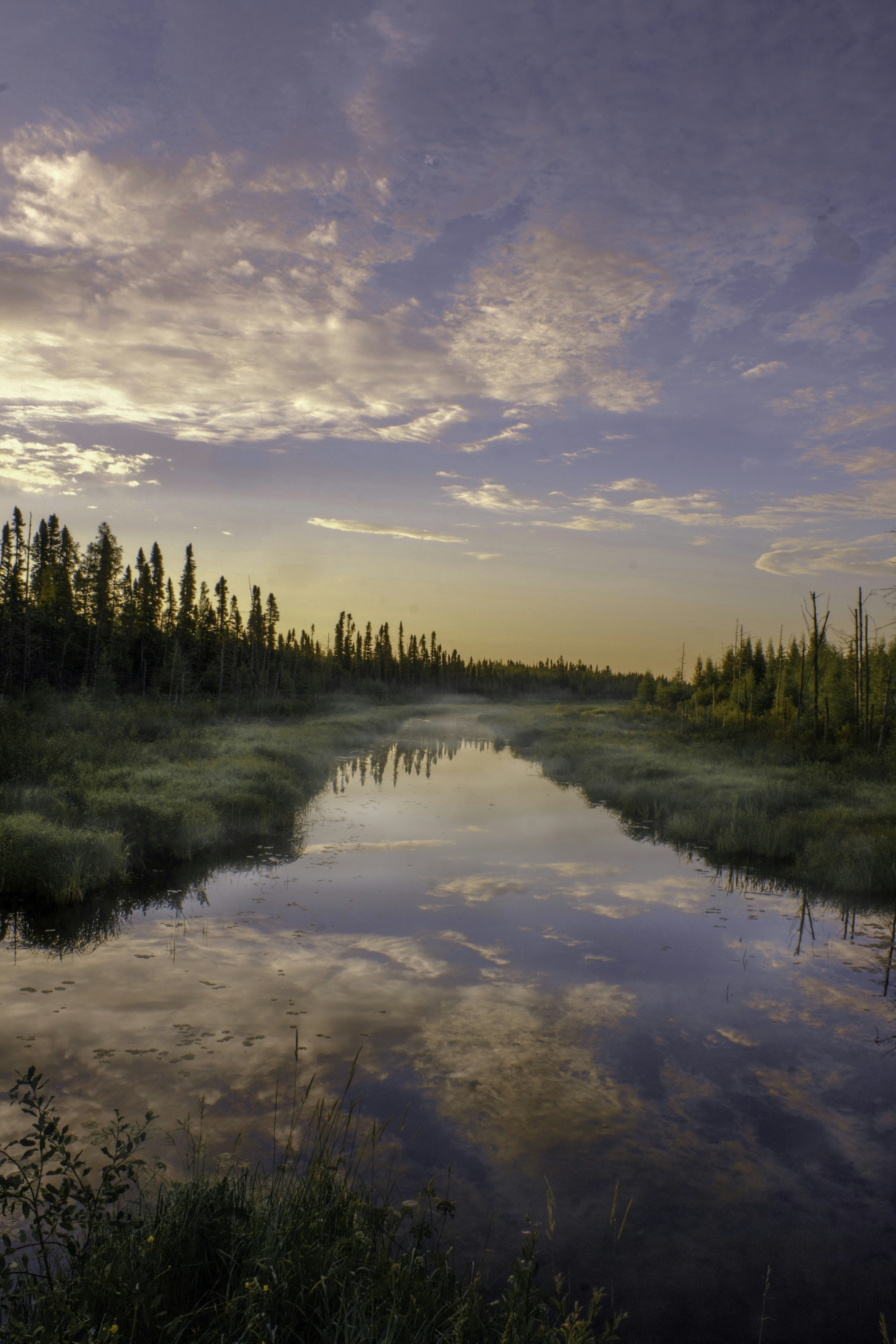 Photo by murilobahia