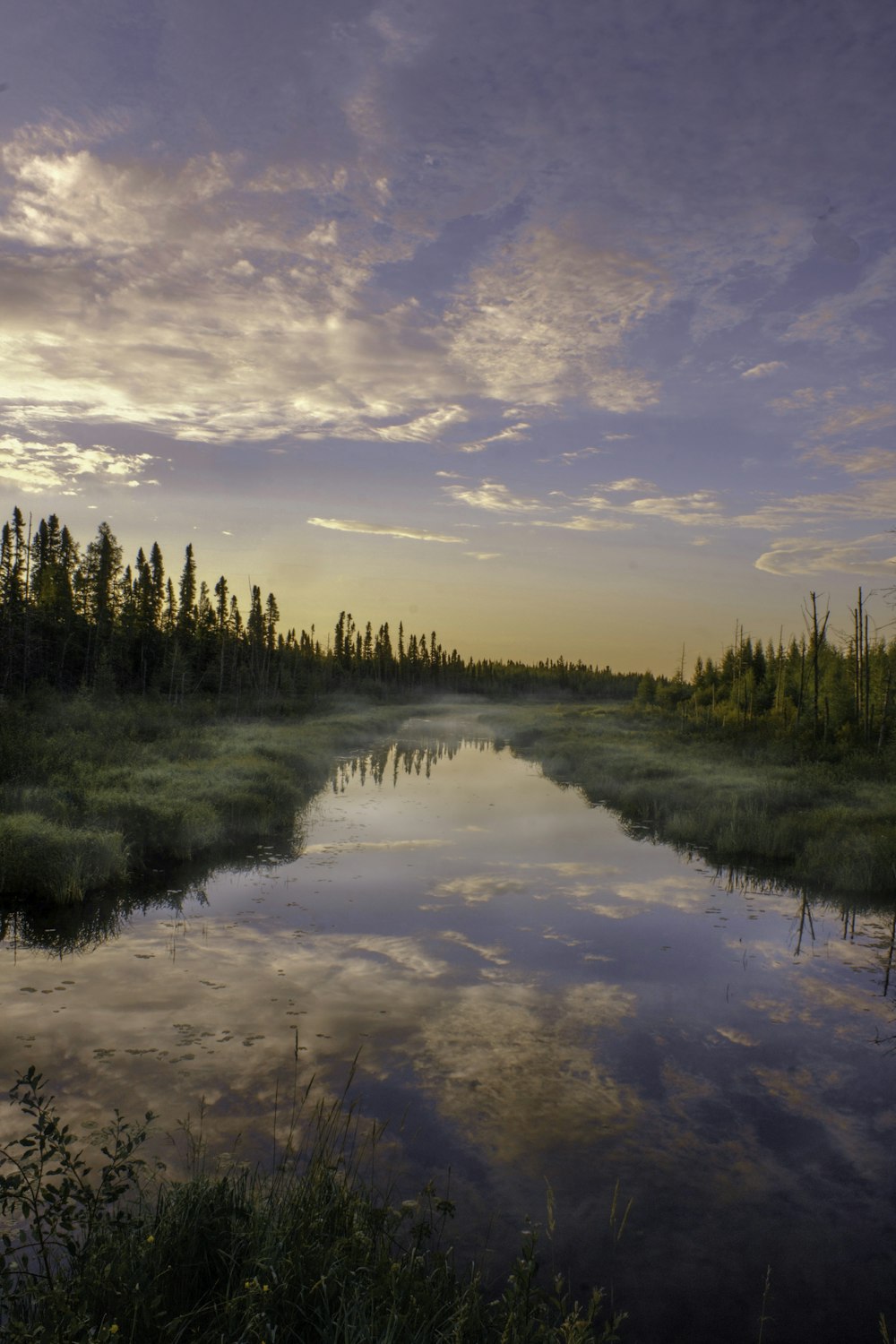 a body of water surrounded by trees and grass