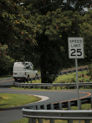 A blue van driving through a winding mountain road surrounded by trees.