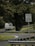 A comfortable travel van driving along a scenic highway surrounded by lush greenery.