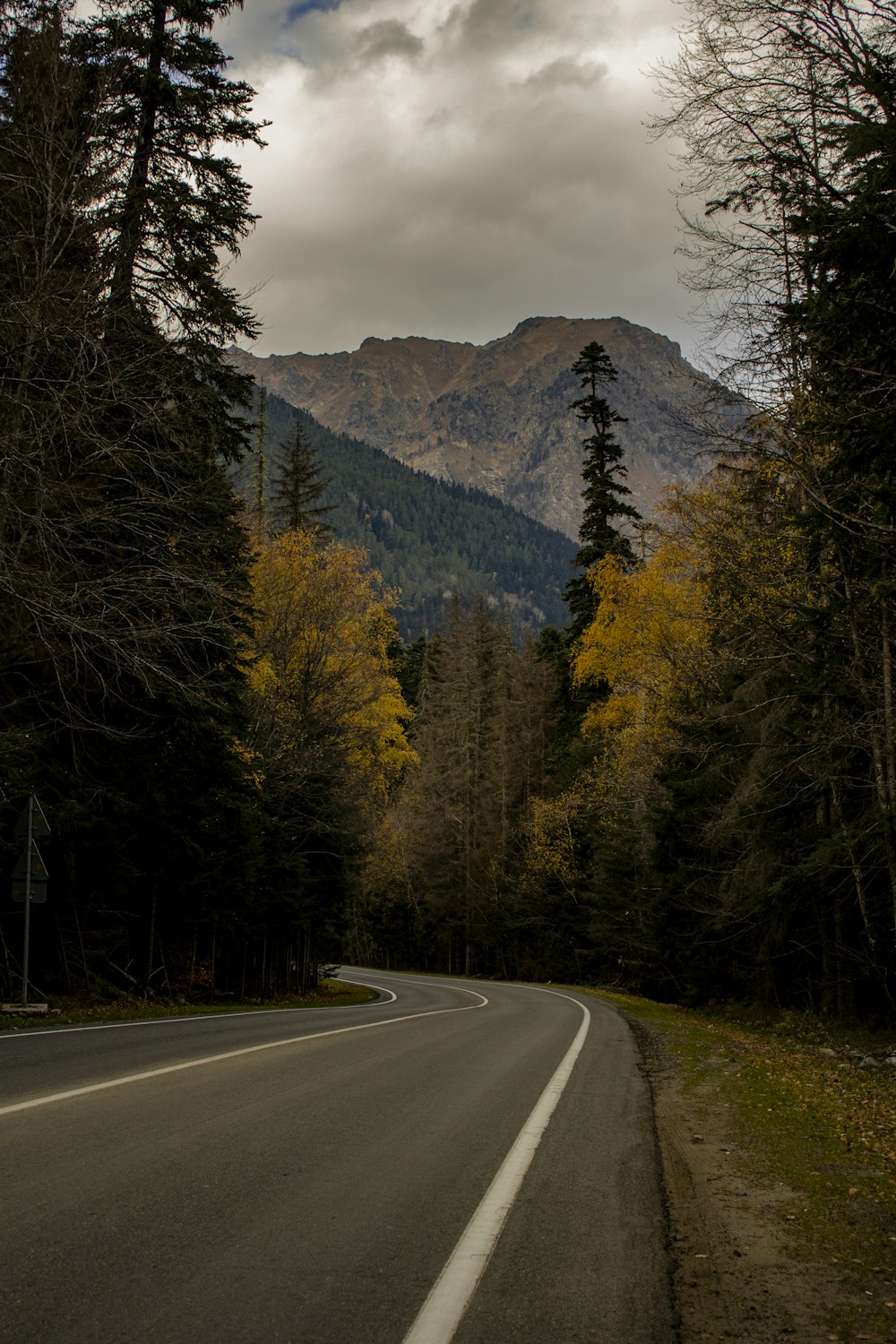 a road with a mountain in the background