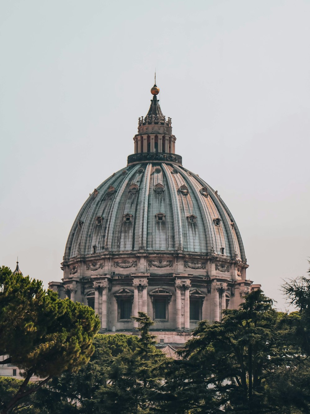 the dome of a building with trees in front of it