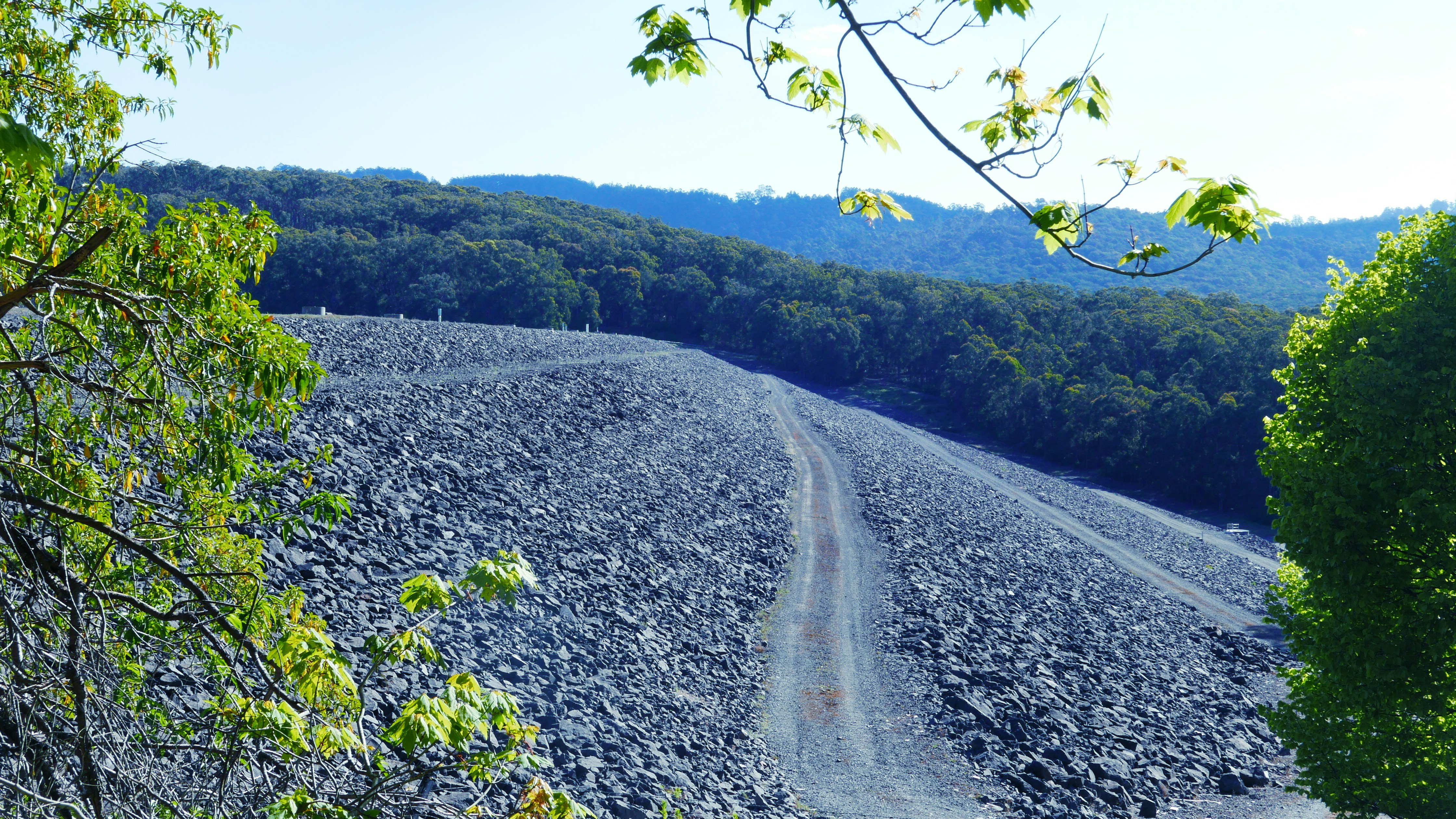 a dirt road surrounded by trees and rocks