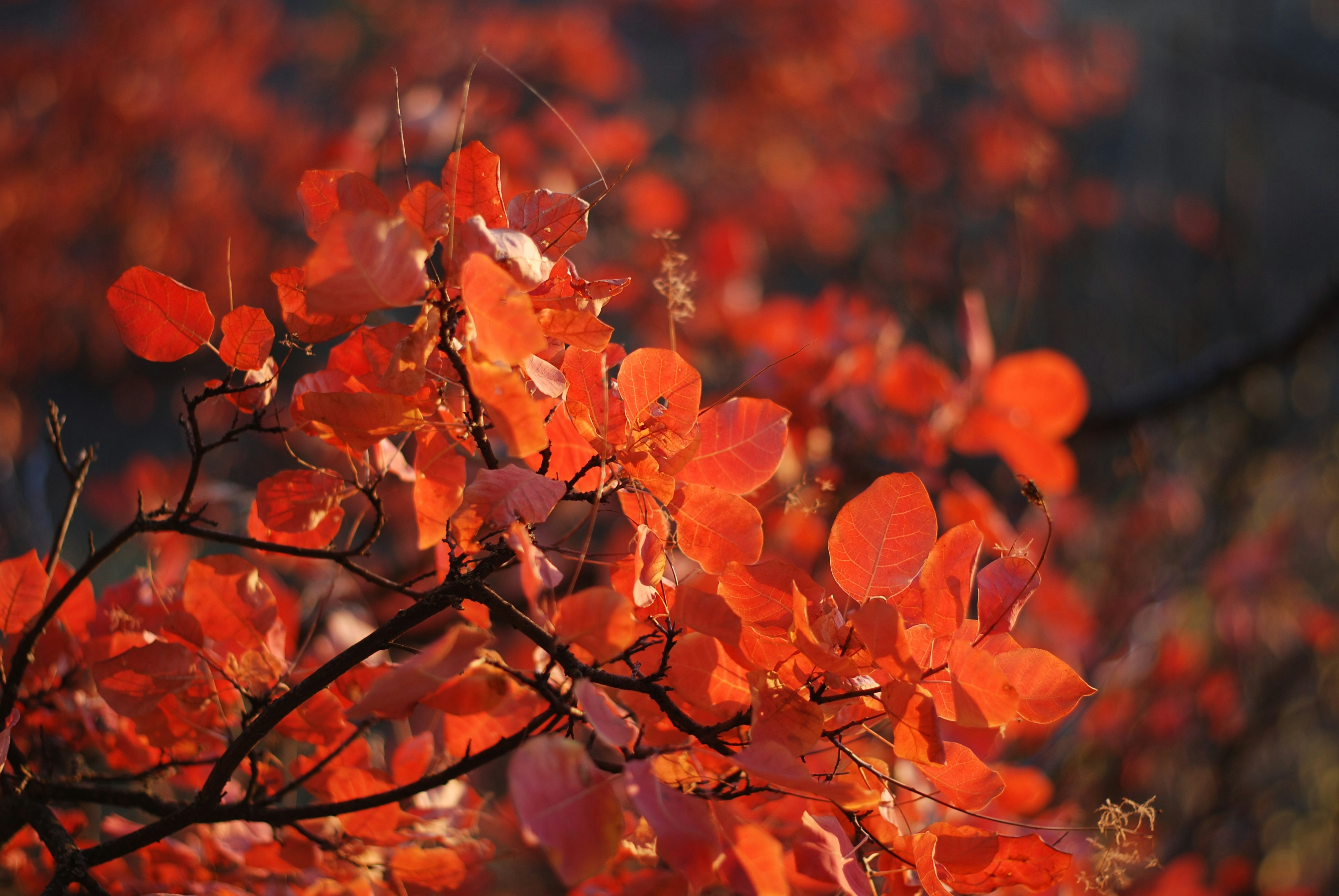 Photo by reka_says_hi