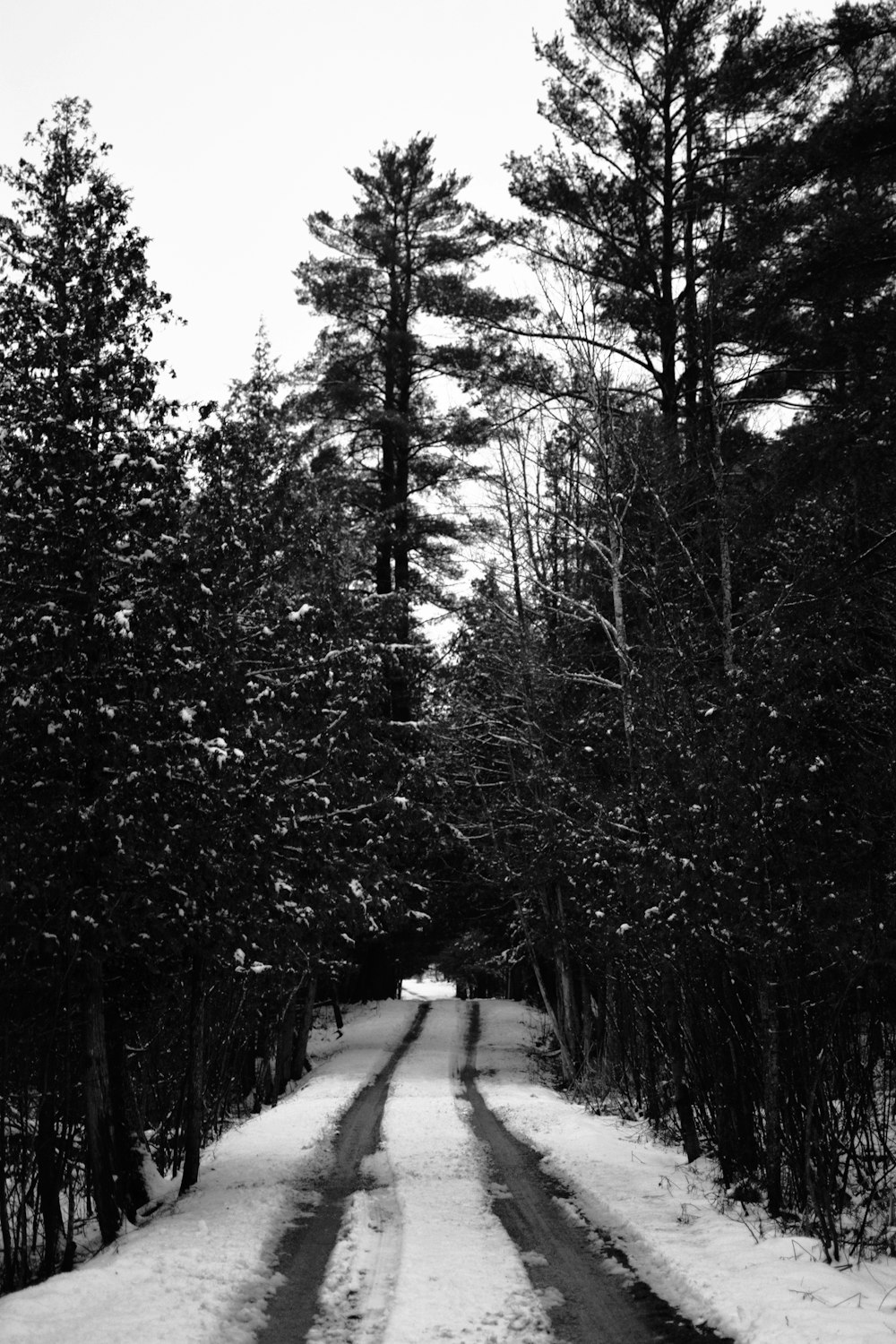 a black and white photo of a snow covered road