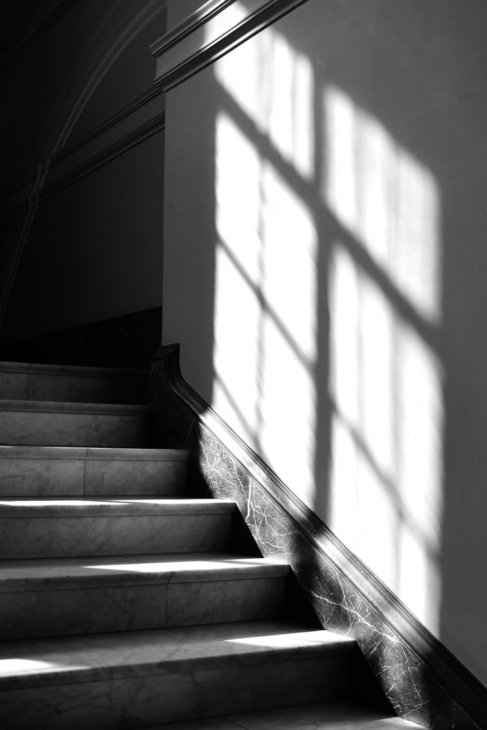 une photo en noir et blanc de quelques escaliers
