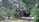 A firefighter is observing a wooden structure that has partially collapsed, surrounded by trees and greenery. The building appears damaged, with debris scattered around, likely from a recent incident. The firefighter is wearing protective gear, including a helmet and reflective clothing.