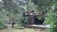 A firefighter is observing a wooden structure that has partially collapsed, surrounded by trees and greenery. The building appears damaged, with debris scattered around, likely from a recent incident. The firefighter is wearing protective gear, including a helmet and reflective clothing.