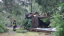 A firefighter is observing a wooden structure that has partially collapsed, surrounded by trees and greenery. The building appears damaged, with debris scattered around, likely from a recent incident. The firefighter is wearing protective gear, including a helmet and reflective clothing.