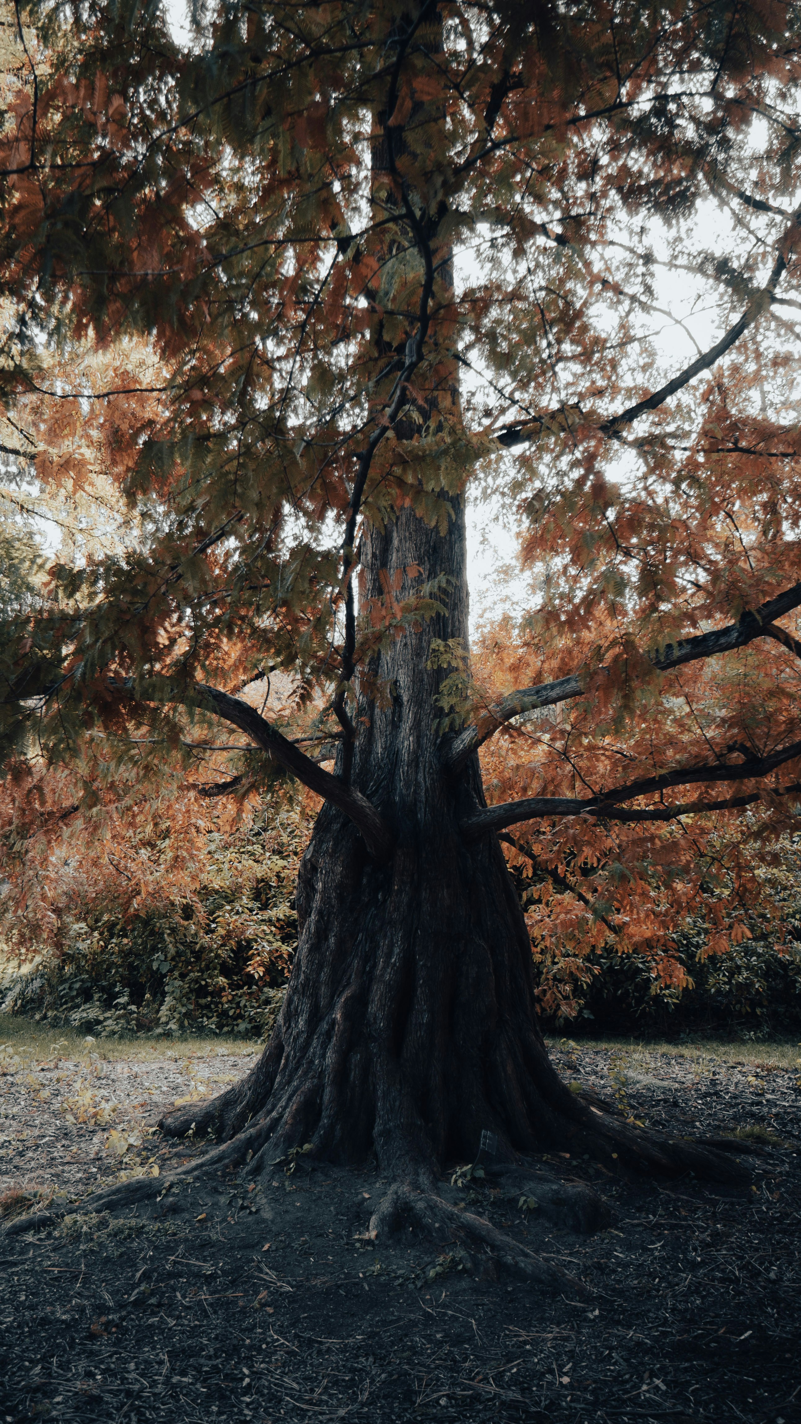 Photo by thomas_weaver