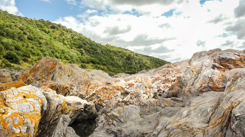 a rocky landscape with a mountain in the background