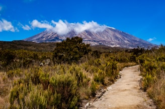 a dirt path with a mountain in the background