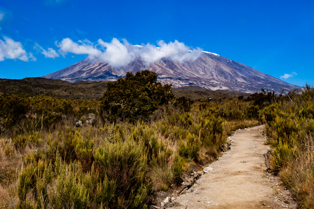 7-Day Machame Route Kilimanjaro climb