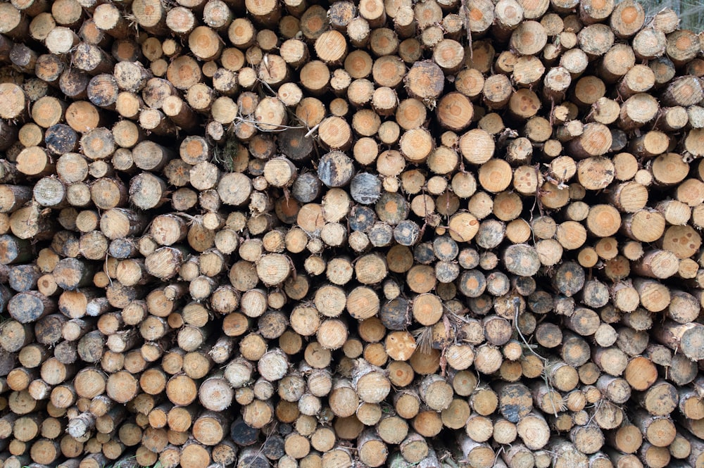 a pile of logs stacked on top of each other