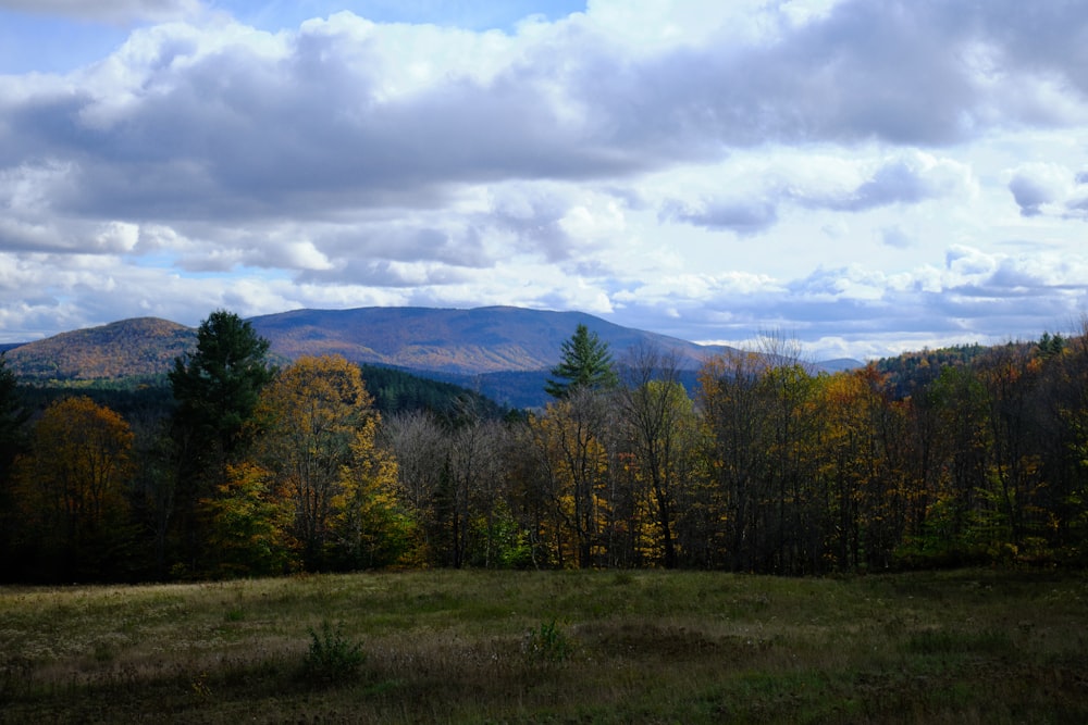 a scenic view of a mountain range with trees in the foreground