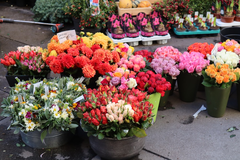 a bunch of flowers that are sitting on the ground