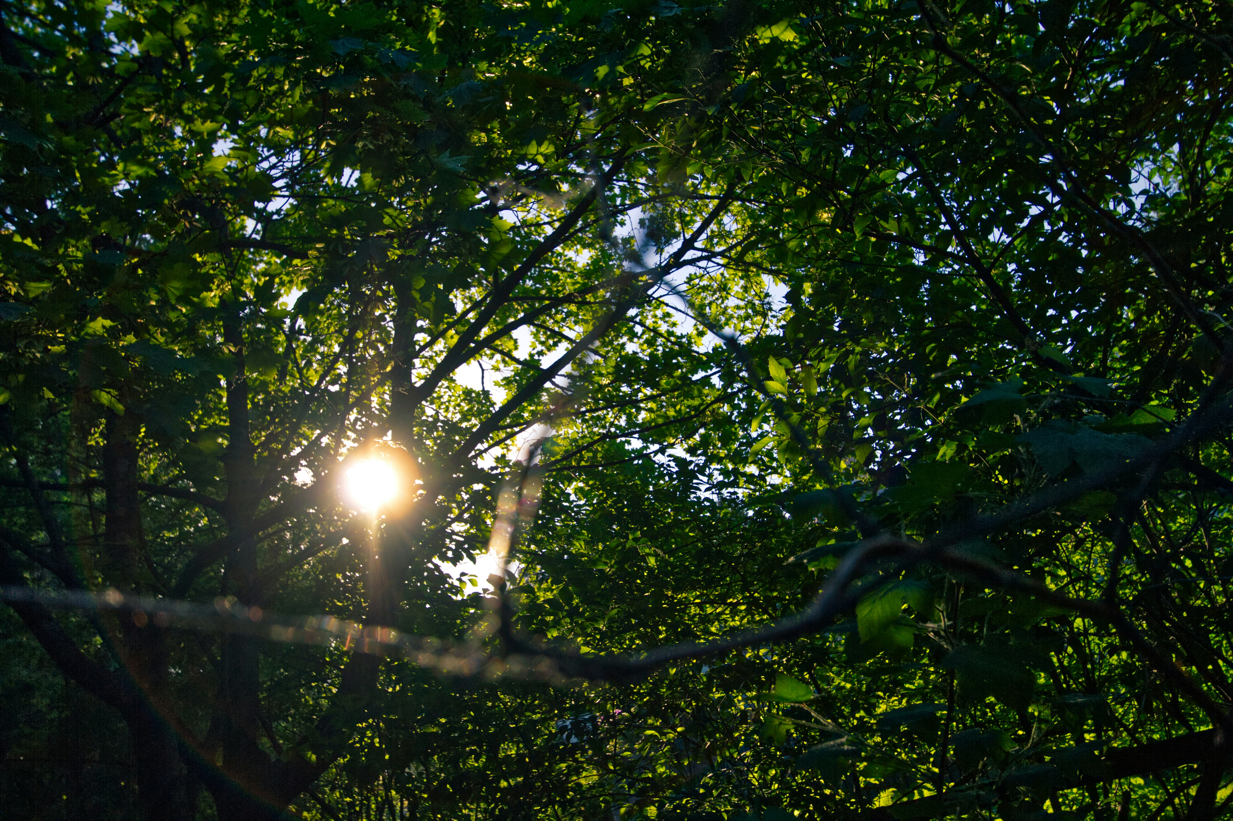 Photo by risto_kokkonen