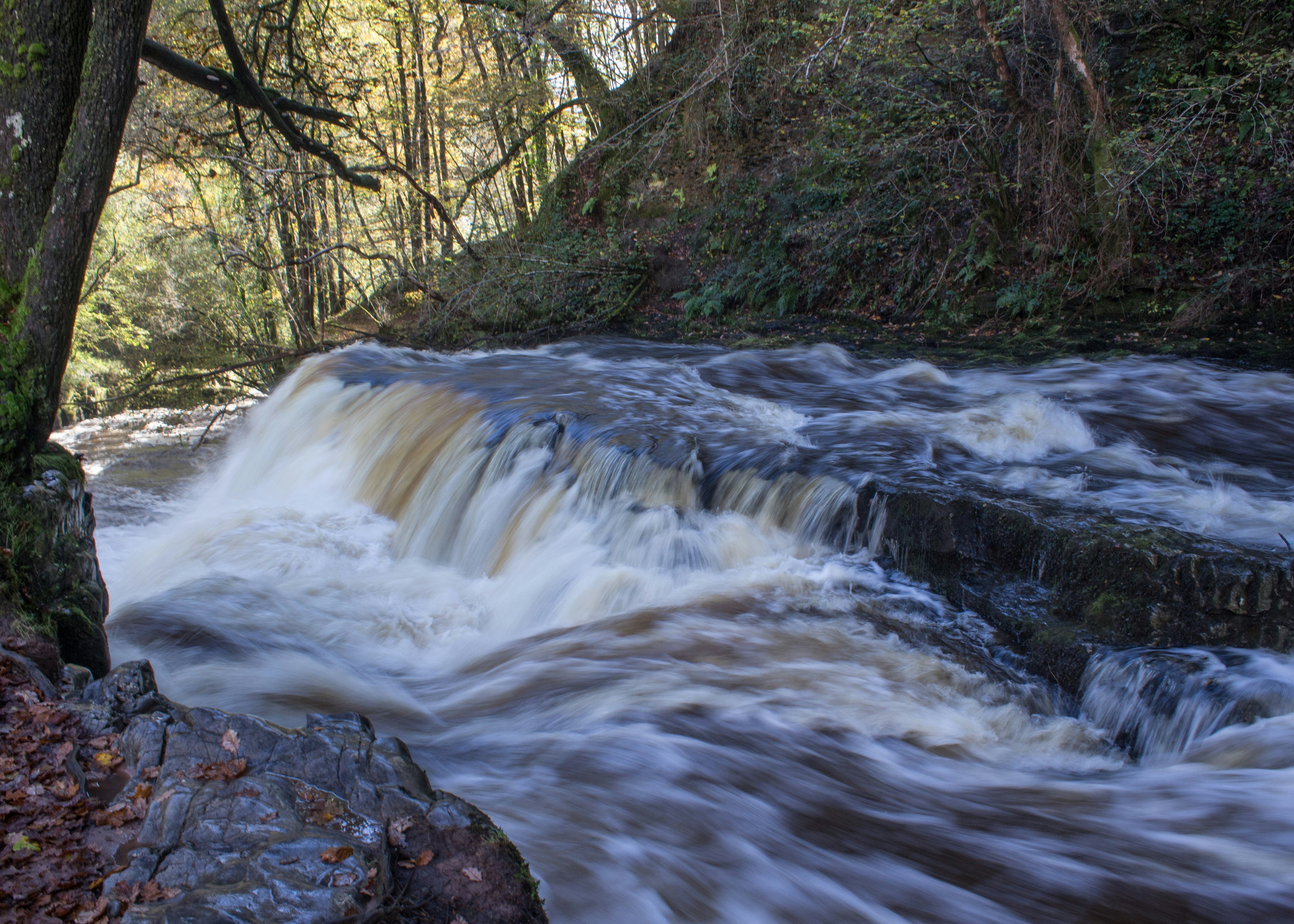 Photo by kevinhessey