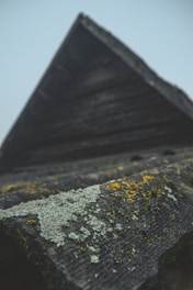 An upward-angled photograph of a roof with a textured surface that is covered in patches of white and yellow lichen. The structure has a rustic appearance with dark, weathered materials and a dull sky in the background which adds a moody atmosphere.