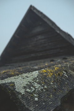 An upward-angled photograph of a roof with a textured surface that is covered in patches of white and yellow lichen. The structure has a rustic appearance with dark, weathered materials and a dull sky in the background which adds a moody atmosphere.