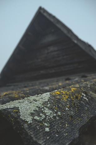 An upward-angled photograph of a roof with a textured surface that is covered in patches of white and yellow lichen. The structure has a rustic appearance with dark, weathered materials and a dull sky in the background which adds a moody atmosphere.