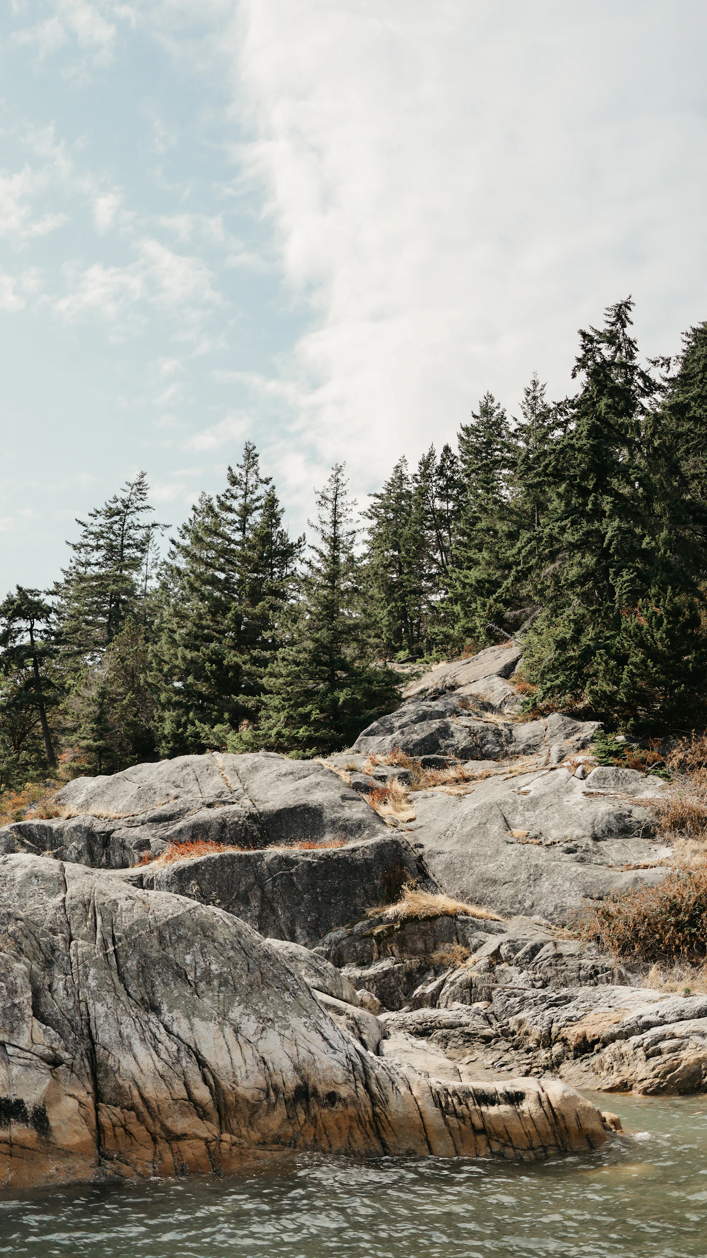 A rocky British Columbia coastline with windswept evergreens above calm ocean water under a soft cloudy sky