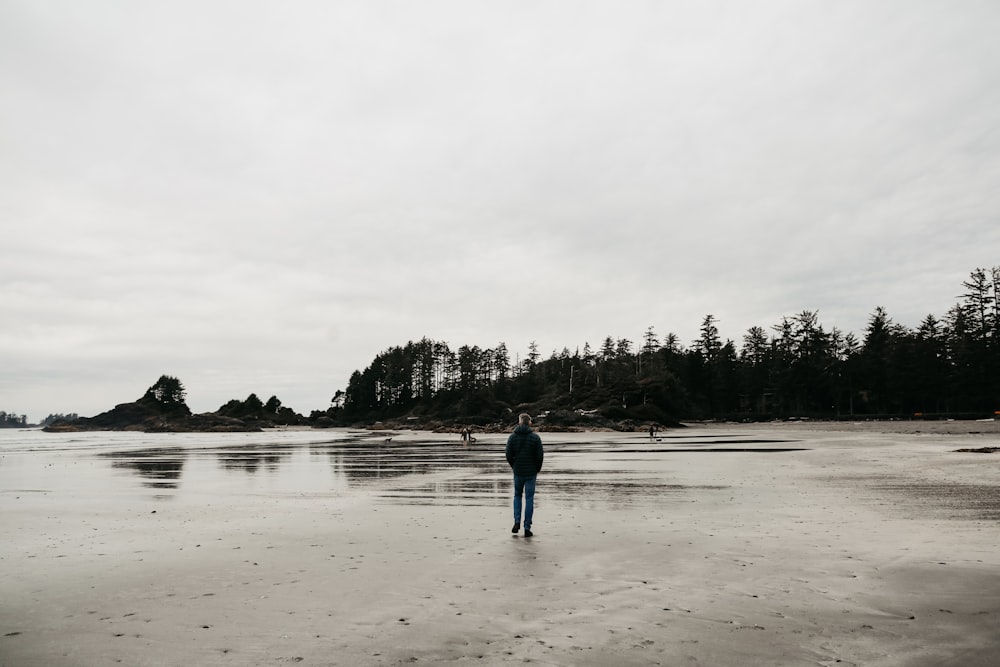 a person standing on a beach with trees in the background