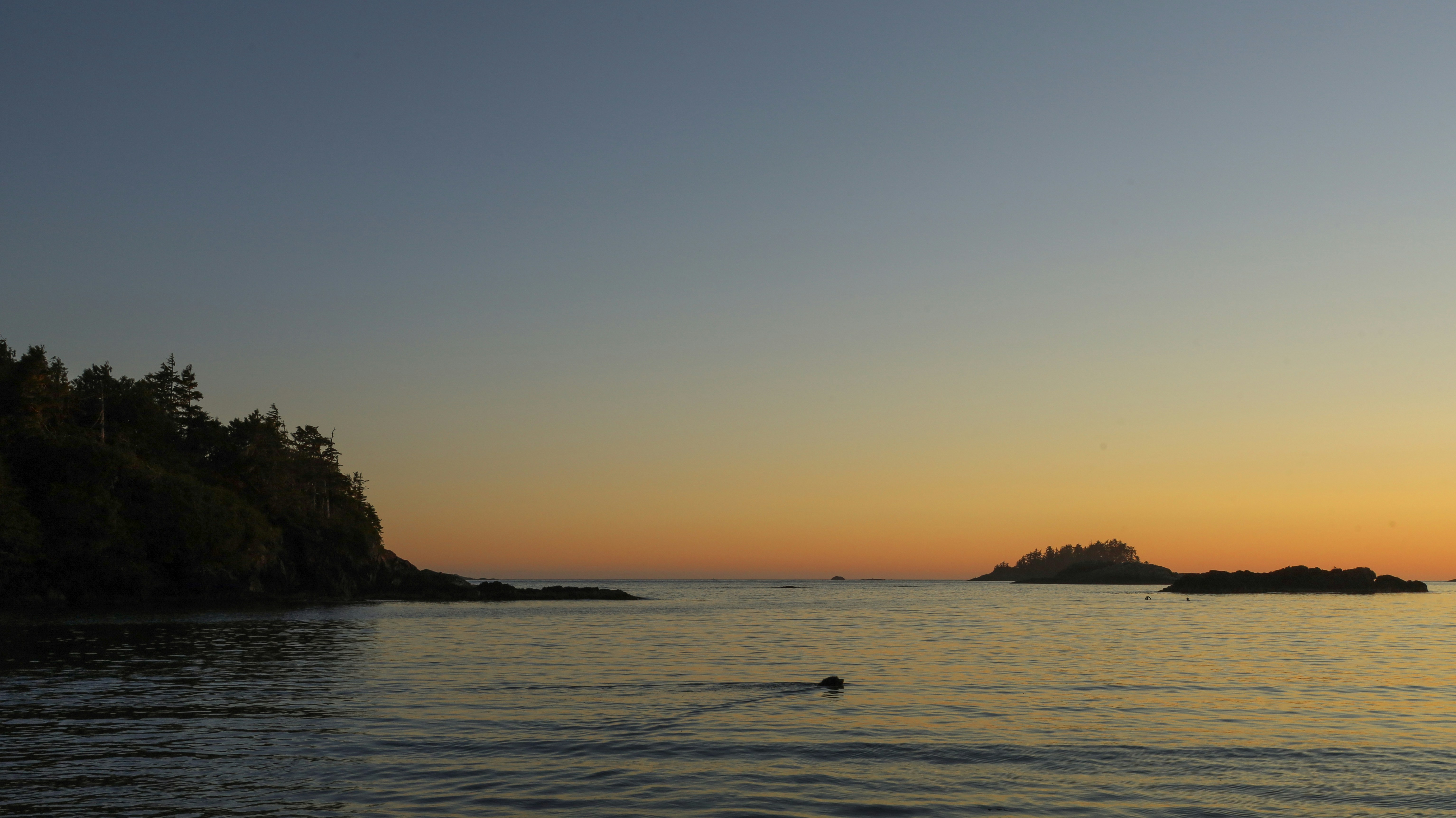 Photo by sofianeumann