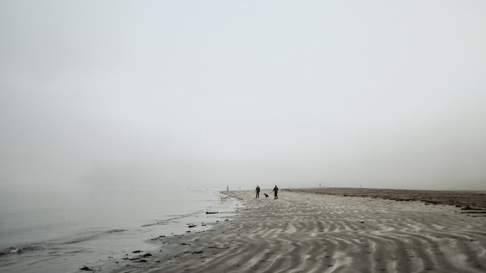 a couple of people walking along a sandy beach