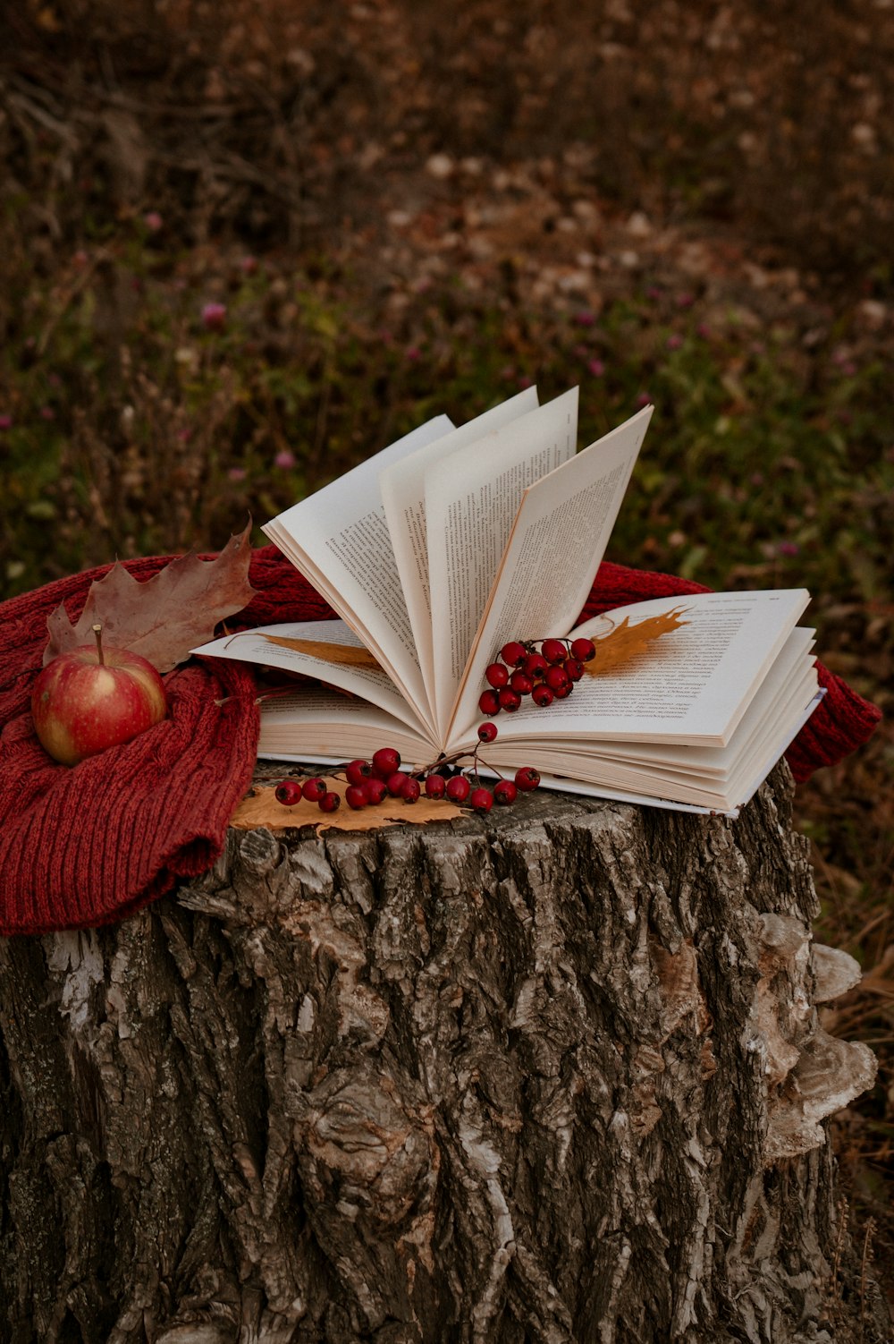 an open book on a tree stump with a red scarf on it