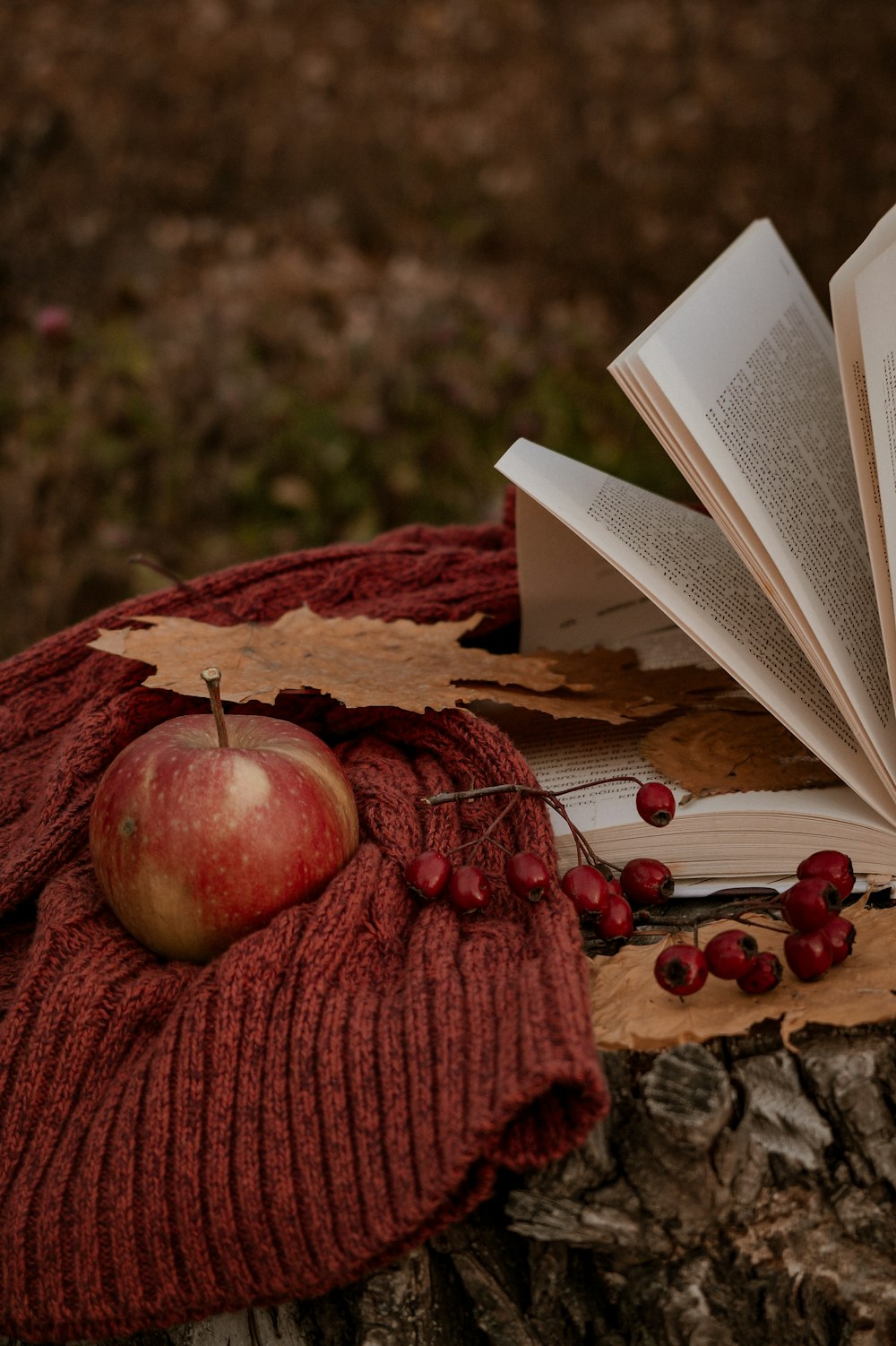 uma maçã e um livro em um toco de árvore
