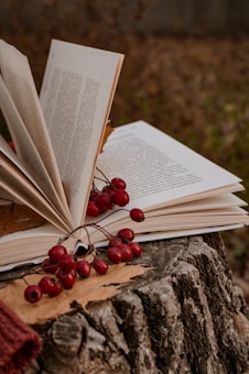 An open book with several pages fanned out rests on a tree stump. Red berries are scattered on the pages, and autumn leaves are partially visible around the setup, giving an outdoor, nature-inspired setting.