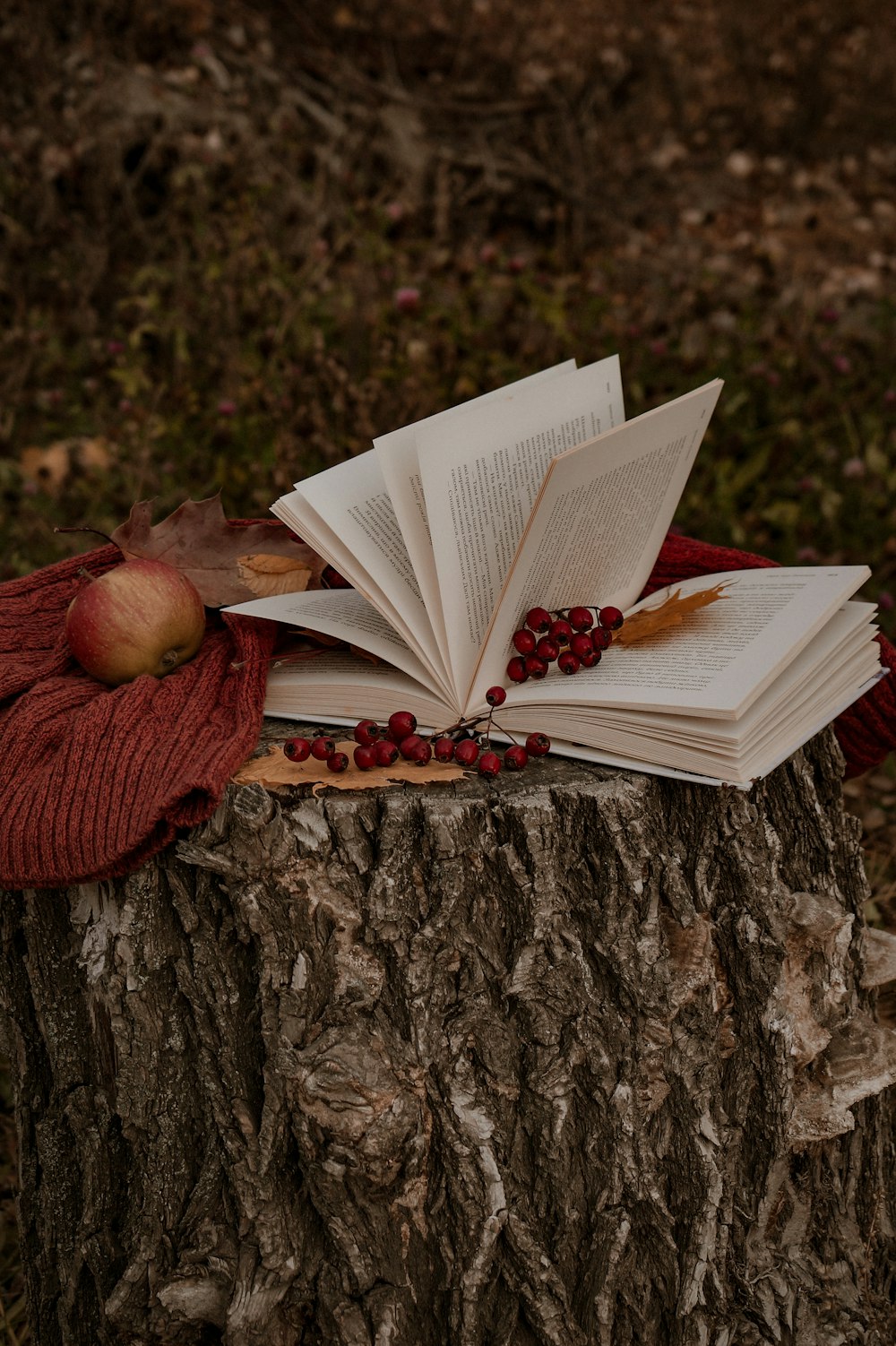 an open book on a tree stump with a red scarf on top of it