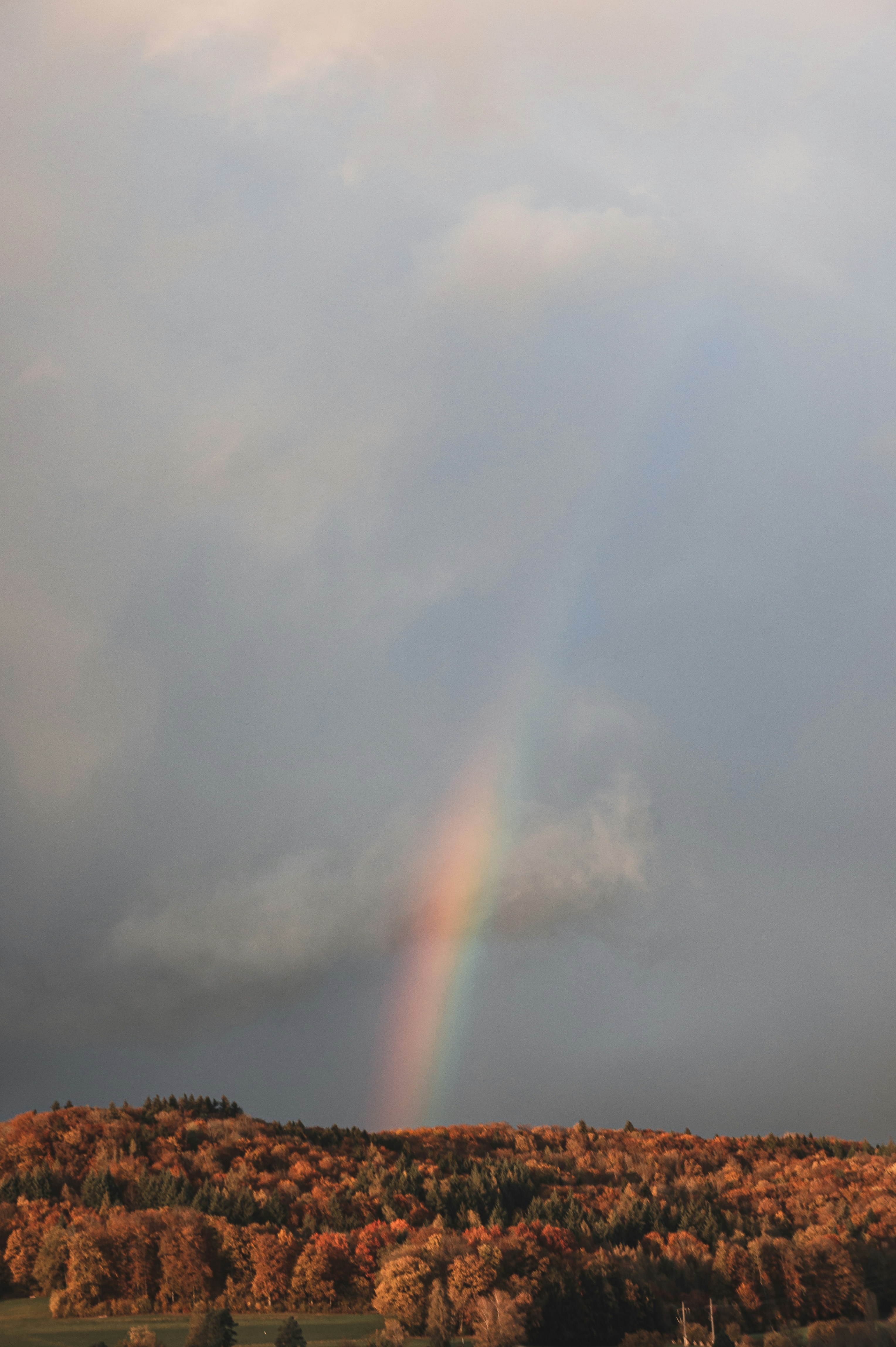 a rainbow in a cloudy sky over a field