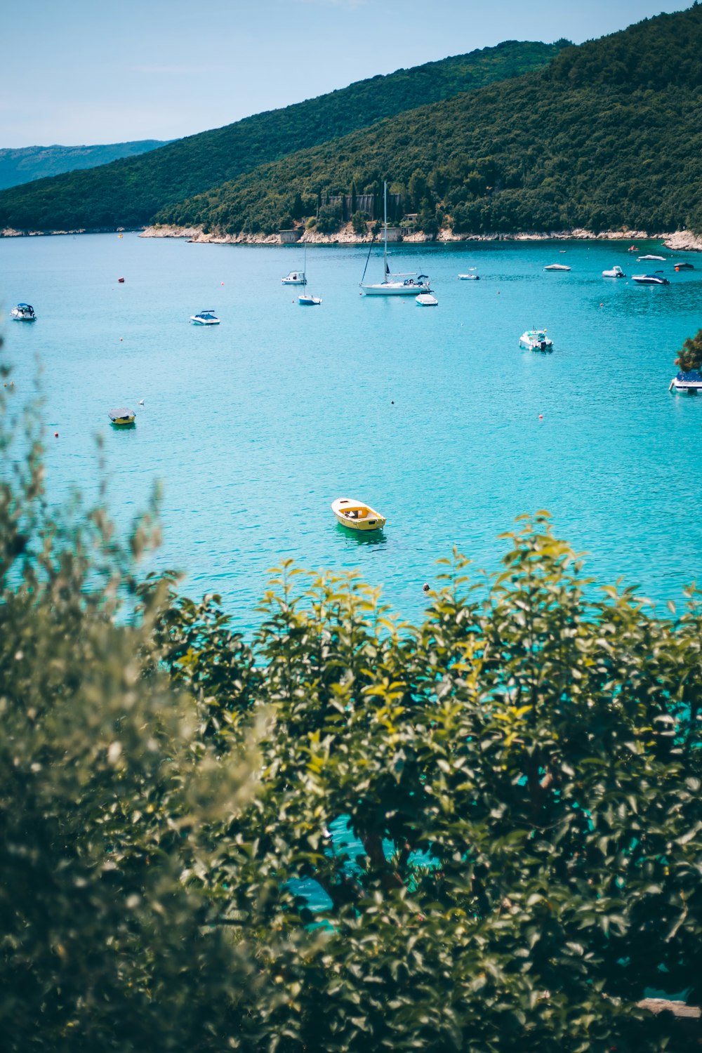 a body of water filled with lots of boats