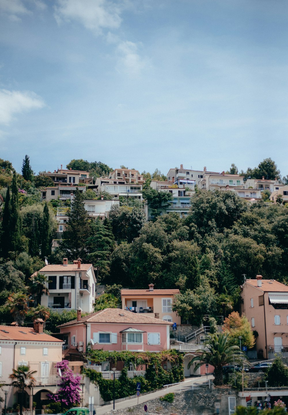 houses on a hill with trees on the top