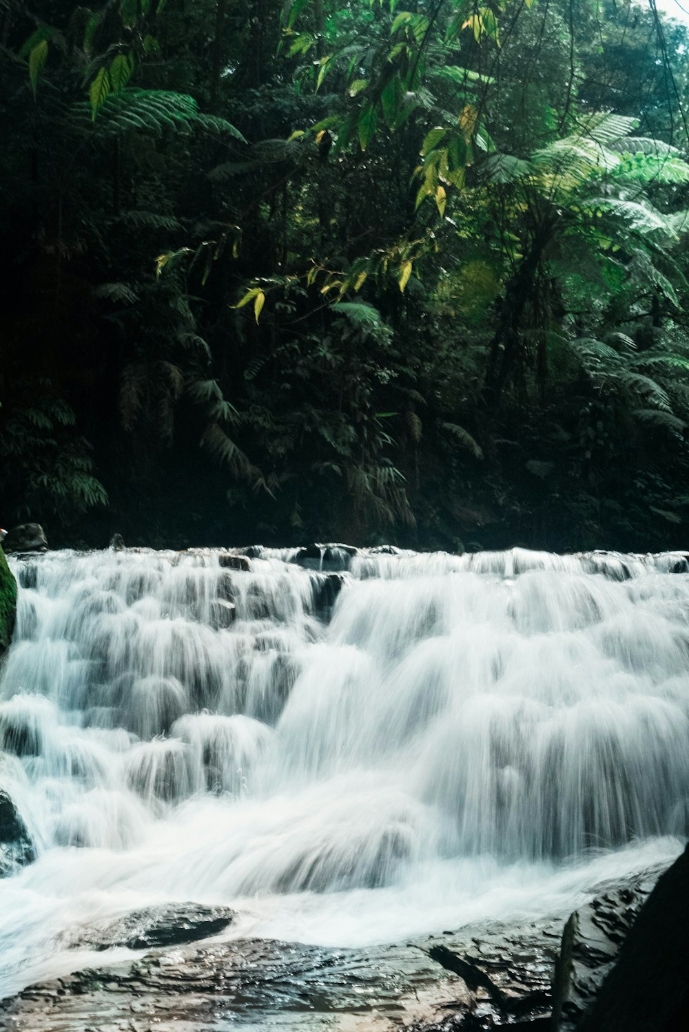 a small waterfall in the middle of a forest