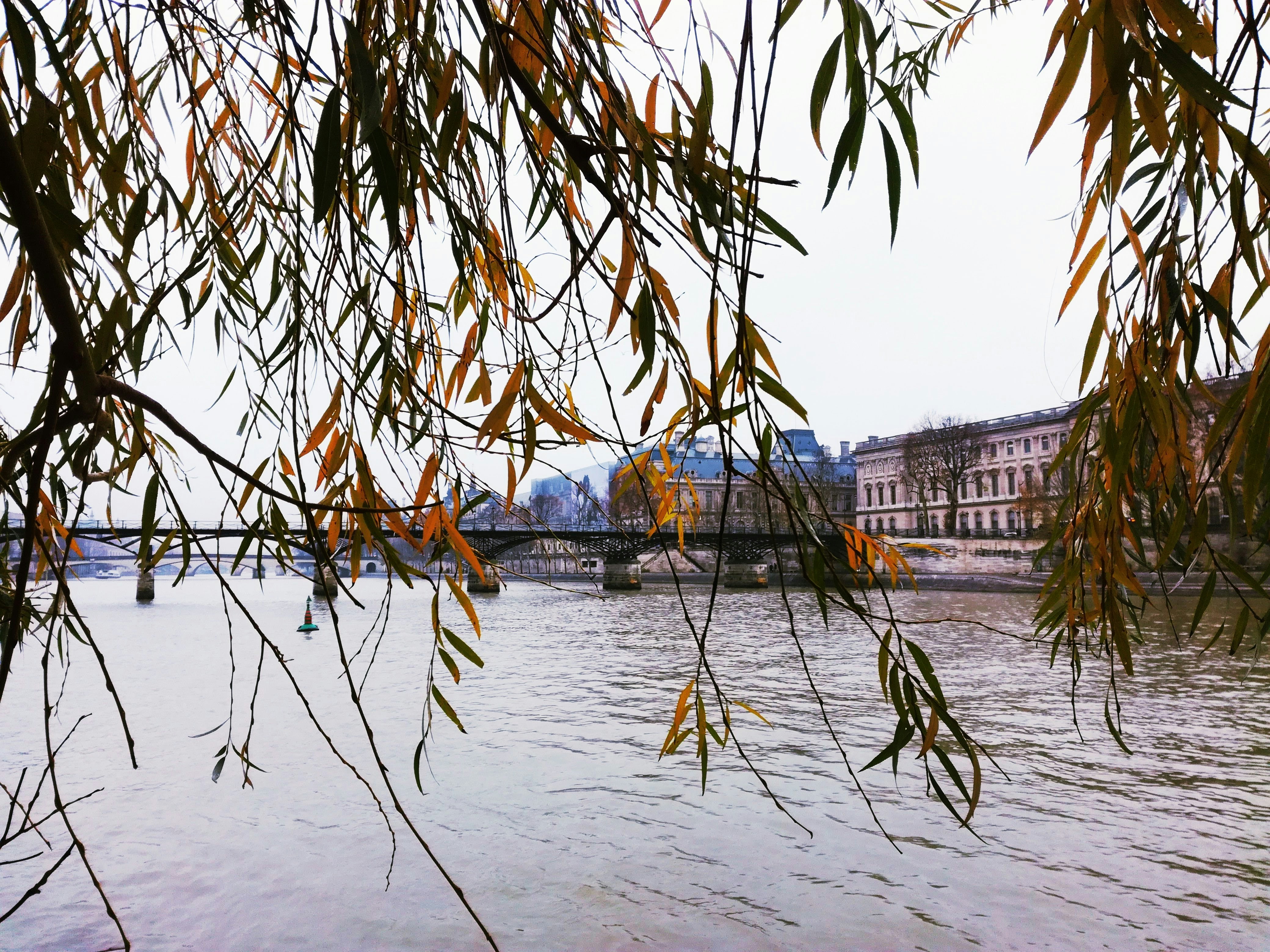 Photo by ldrsm
