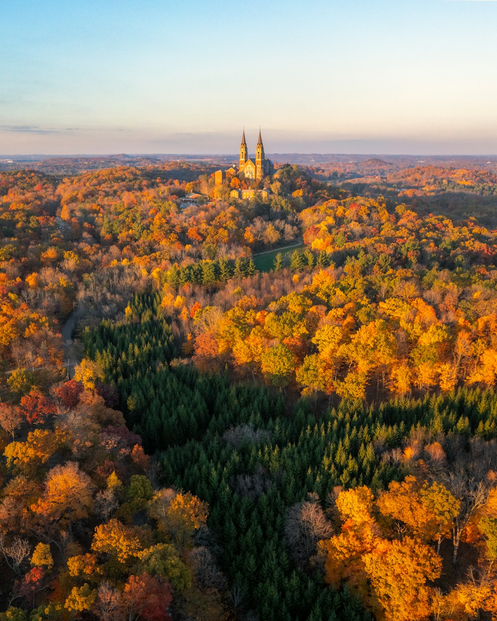 an aerial view of a forest with a church in the background