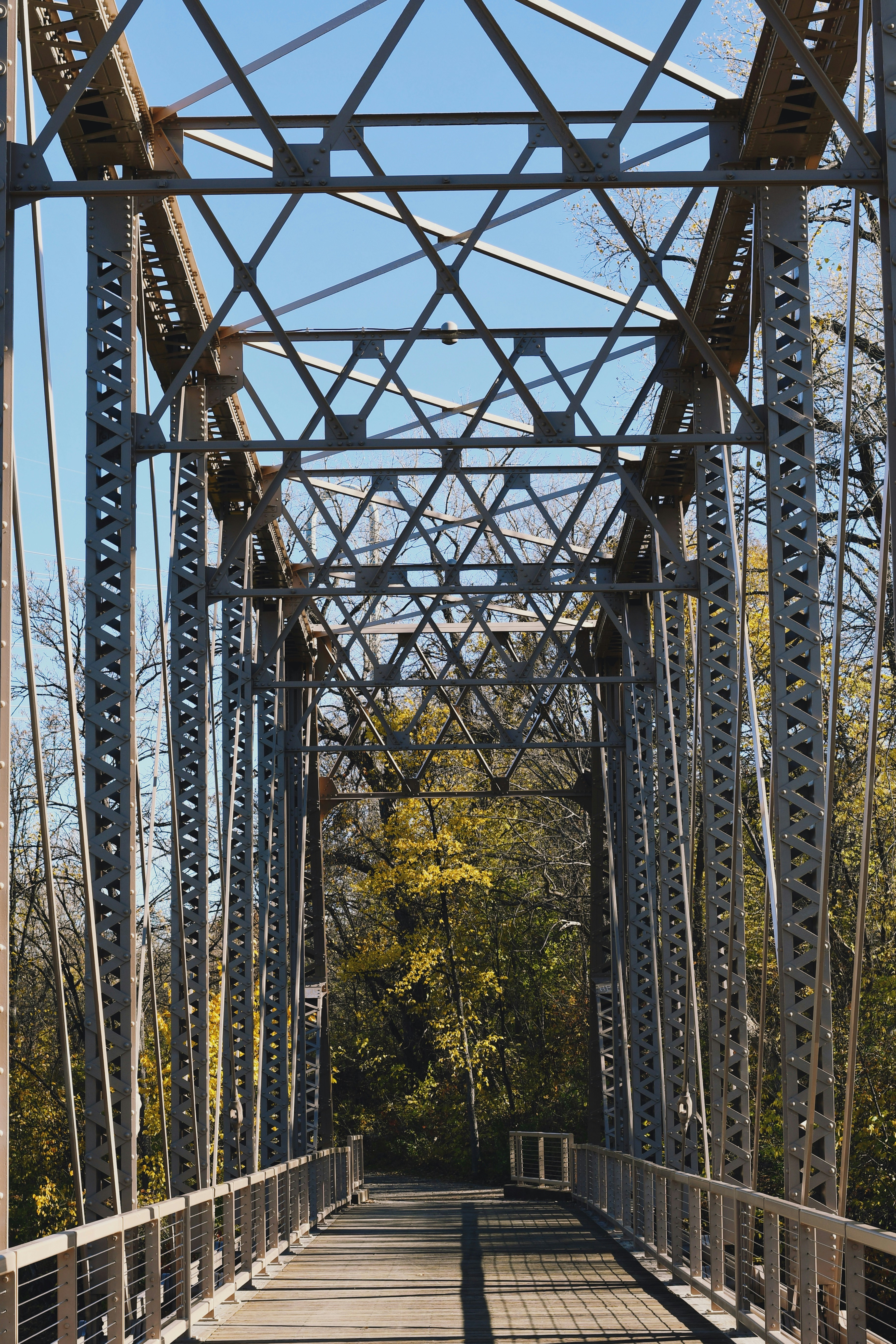 Photo by harlynkingm