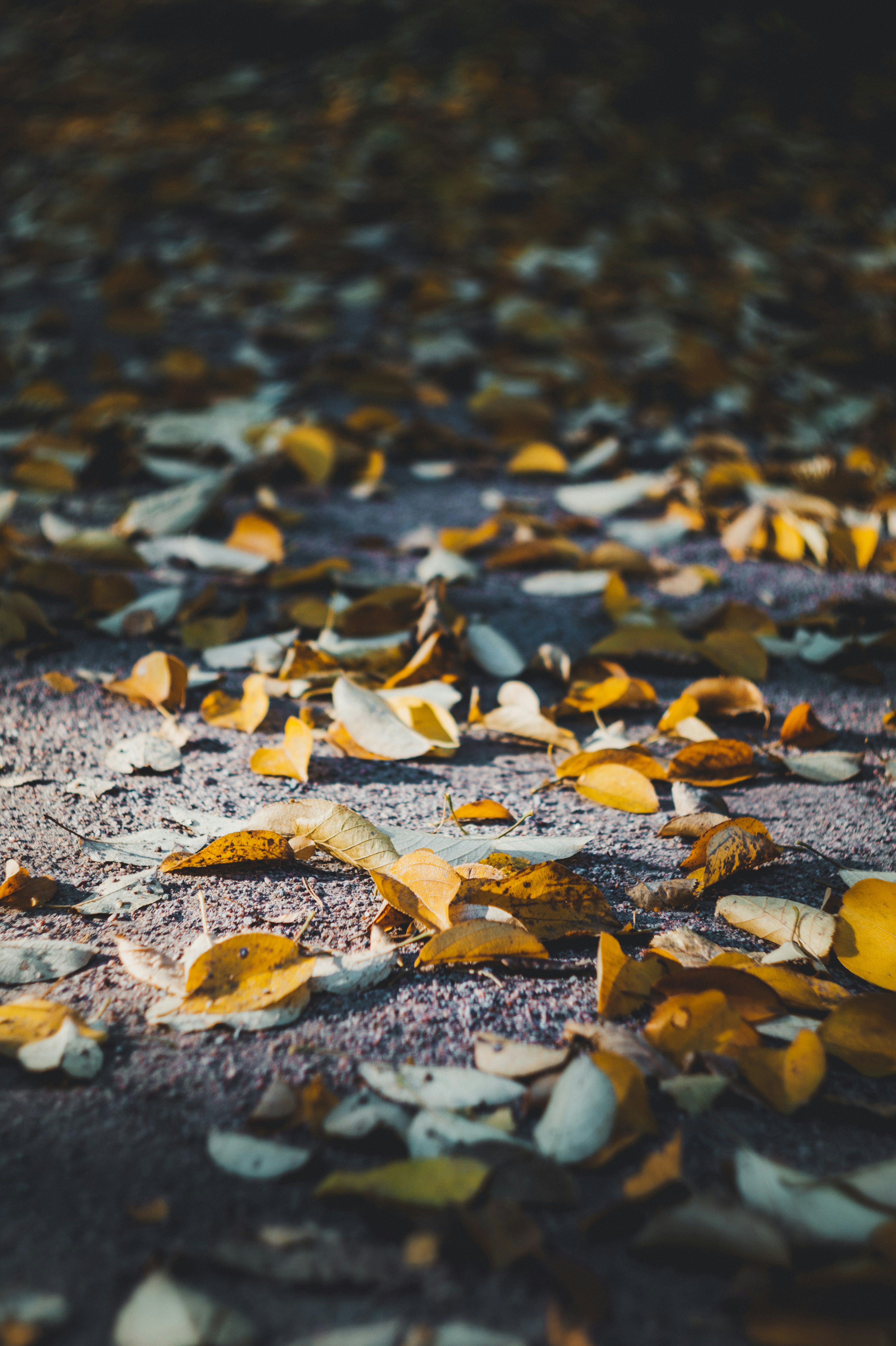 Photo by needmoregrain