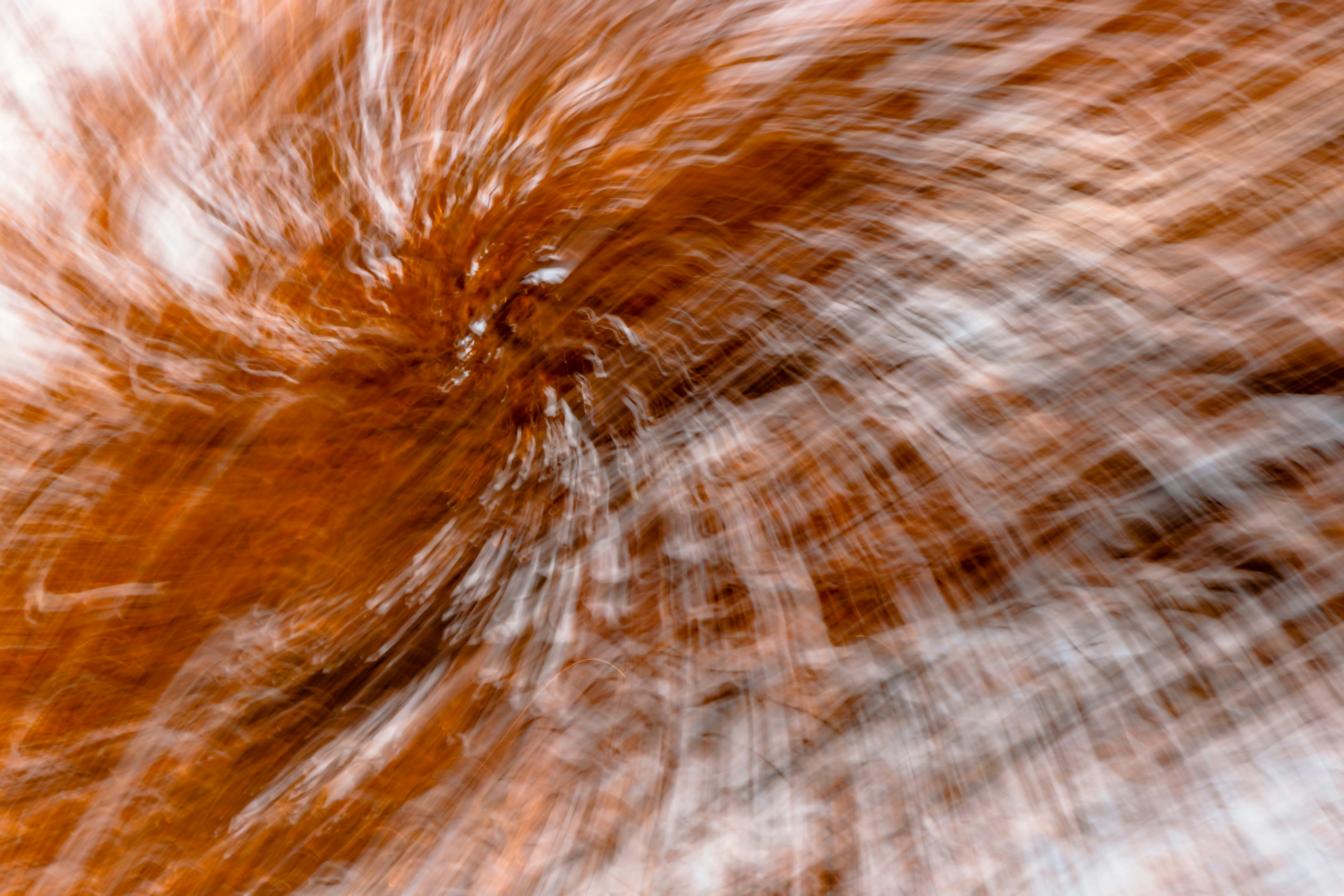 Photo by myriamzilles